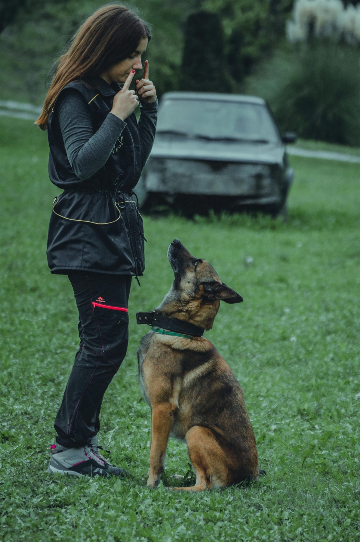 A trainer working one-on-one with a focused dog outdoors